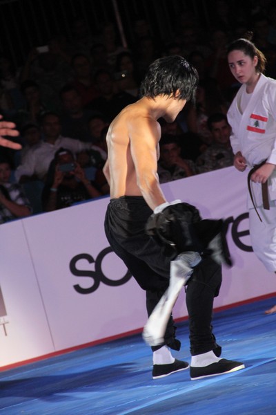 Martial Arts Festival